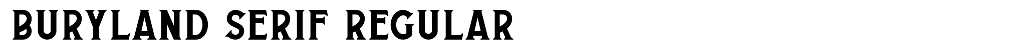 Buryland Serif Regular image
